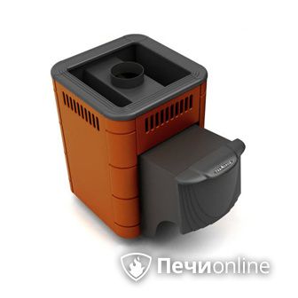 Дровяная банная печь TMF Оса Carbon терракота дверь антрацит в Иркутске